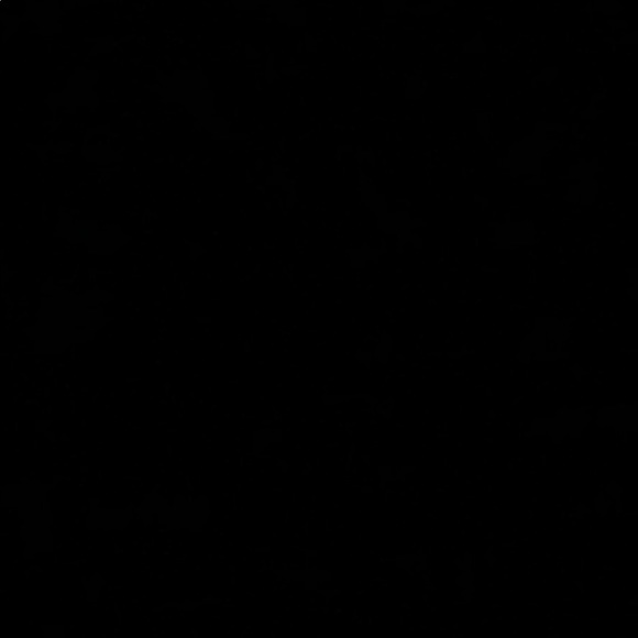 Meet your Posher, Bryson - Picture 1 of 1